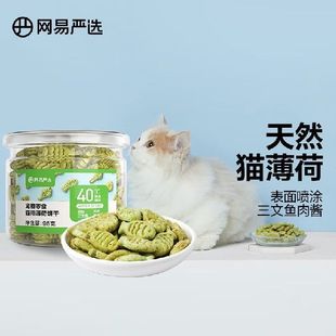 95克 网易严选 宠物幼猫成猫猫咪零食饼干薄荷味