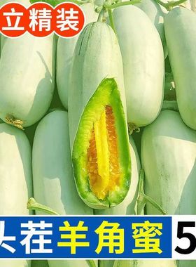 【真甜】头茬羊角蜜甜瓜山东新鲜当季孕妇水果蜜瓜整箱脆甜羊角蜜