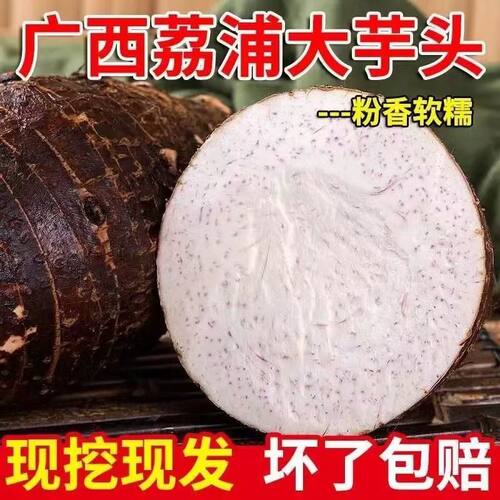 正宗广西荔浦芋头新鲜现挖农家自种蔬菜香芋香甜粉糯大芋头产地发
