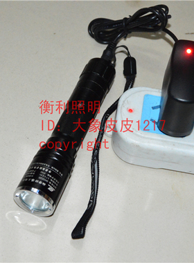 华荣BAD202A BAD202B BAD202C BAD206 BAD301防爆手电筒 充电器