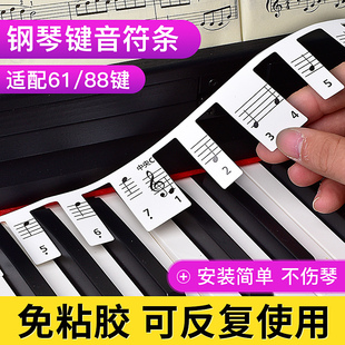 钢琴键盘贴纸电子琴音标贴88键61键五线谱简谱琴键贴免粘贴音符条