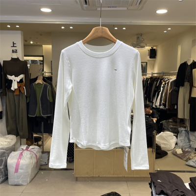 壹彩1265正版秋冬韩版圆领刺绣显瘦百搭抓毛长袖T恤衫打底上衣女