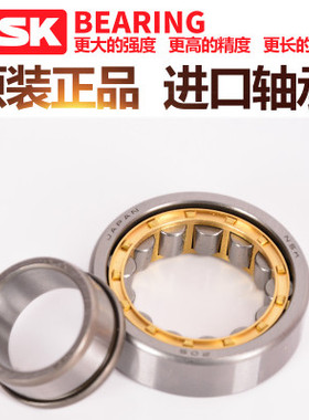 日本进口NSK轴承 N NU NJ RN NUP 240 244 256 260 EW EM C3