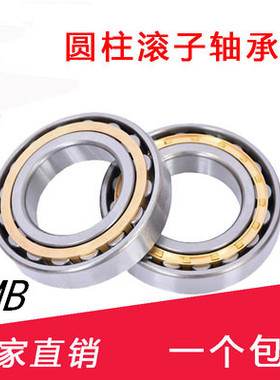 天马TMB轴承 N NU NJ RN NUP NF2318 2319 2320 2322EM C3 4 P5 6