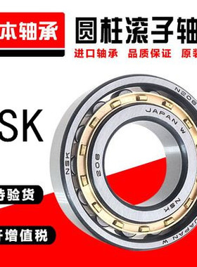 日本进口NSK轴承 N NU NJ RN NUP 405 406 407 408 EW EM C3