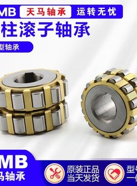 天马TMB轴承 N NU NJ RN NUP NF2310 2311 2312 2313EM C3 4 P5 6