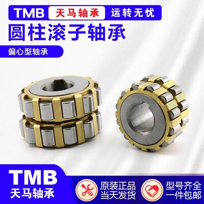 天马TMB轴承 N NU NJ RN NUP NF2310 2311 2312 2313EM C3 4 P5 6