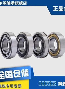 HRB哈尔滨轴承6403 6404 6405 6406 6407 6408 6409 RZ 2Z ZZ 2RZ