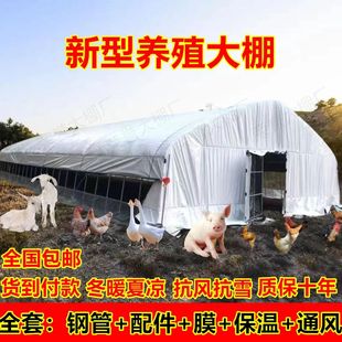 大棚钢管骨架养殖鸡鸭鹅猪牛羊大棚全套食用菌温室大棚