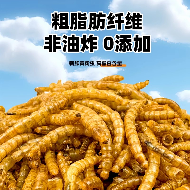鹦鹉鸟食鸟粮饲料虎面包虫干皮牡丹玄凤训练奖励零食营养用品