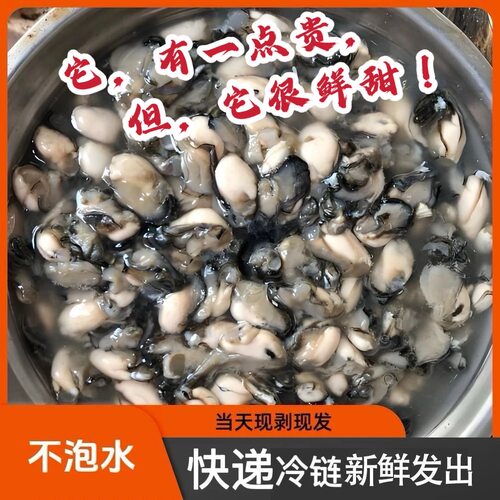 福建小海蛎生蚝现捞现剥无泡水贝类牡蛎小海蛎子肉新鲜海蛎肉批发