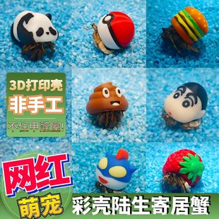寄居蟹创意网红礼品3D打印壳替换壳彩壳豆丁灰白萌宠白酒便便汉堡