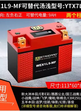 适用本田LEAD 125汤浅摩托车电瓶GTZ6V WTZ6VIS免维护W电瓶锂电池