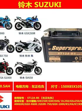 三阳巡弋CRUISYM300 400 T1 T2捷克萨斯摩托车电瓶蓄电池GT12A-BS