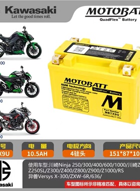 川崎ZX-6R/636/ZX-9R 川崎ER6N ER6F ER-6F ER650F 08-22原装电瓶