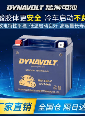 猛狮摩托车电瓶450sr400NK650gt狒狒150CT250电池原装700CLX800MT