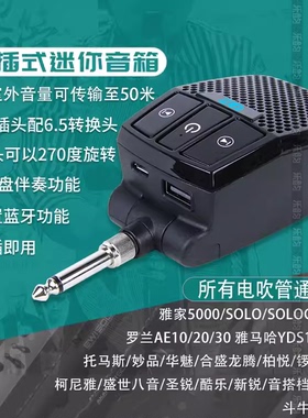 所有电吹管通用泽雅直插式音箱雅佳5000/SOLO罗兰AE20/30蓝牙音响