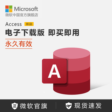 Microsoft/微软 Access 电子下载版