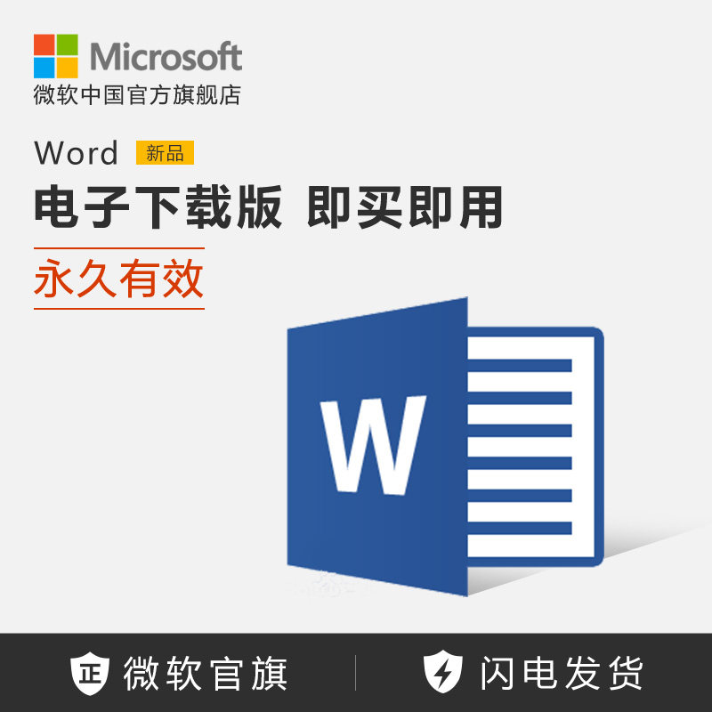 microsoft/微软 word 电子下载版