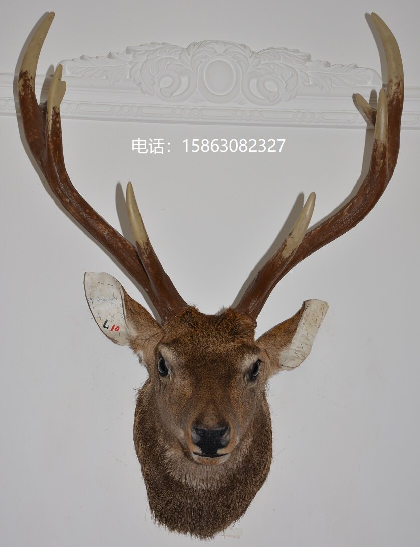 标本欧式风酒吧会所仿真有鹿墙饰