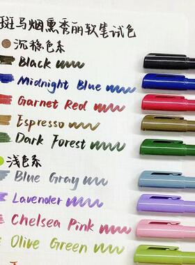 日本zebra斑马WF9软笔彩色brush英文花体字手帐书法笔烟熏秀丽笔