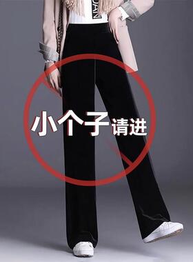 金丝绒裤子女小个子秋冬新款高腰大码女裤矮个子休闲窄版直筒长裤