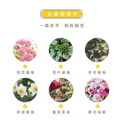 裸心花园HB-101植物活力素促根促分枝月季绣球多肉养花通用营养液