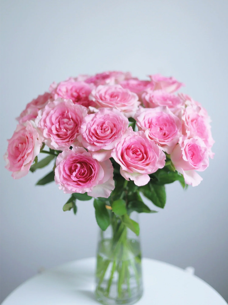 沈阳鲜花实体店洛神玫瑰花长白浑南和平沈北情人节家庭鲜花办公室