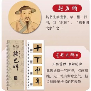 成人练字帖作品纸行书笔意 毛笔临摹字帖碑帖临摹卡字卡集字原贴楷书教程入门楷体小楷字帖书法全集放大版 六品堂 赵孟頫胆巴碑字帖