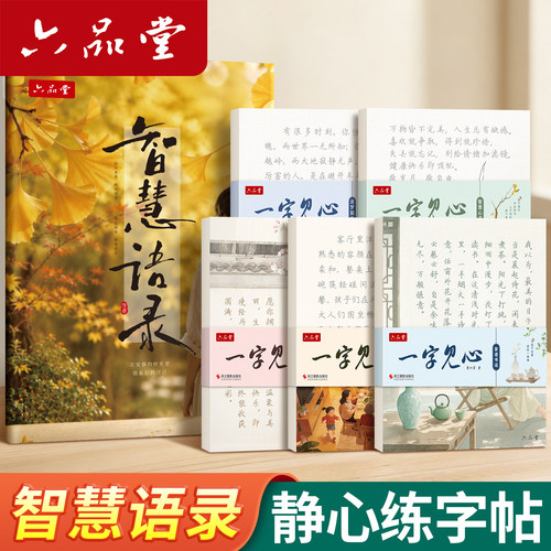 智慧语录字帖正楷成人静心练字帖