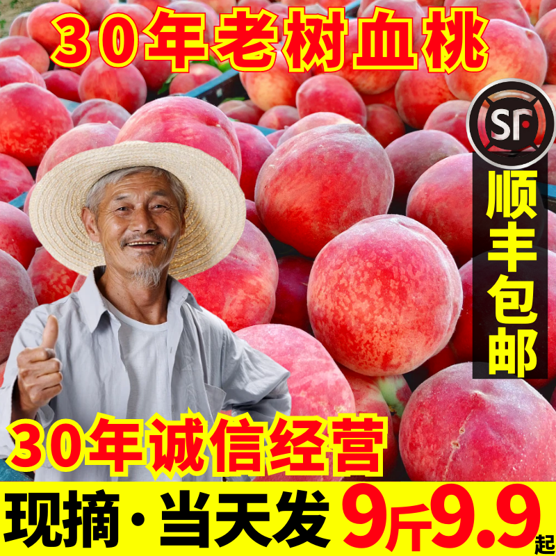 桃子新鲜血桃现摘红心毛桃当季孕妇水果整箱9斤水蜜脆桃顺丰包邮