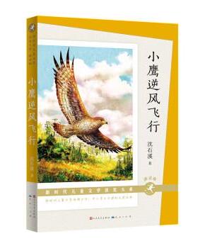 【嘉】 新时代儿童文学获奖大系·朗读版：小鹰逆风飞行 9787501619184 人民文学出版社，天天出版社5