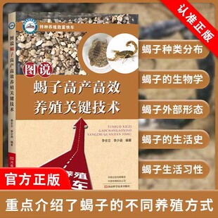 【书】图说蝎子高产高效养殖关键技术 蝎子养殖蝎子育种人工养蝎蝎子食材中药材人工养殖蝎场管理仿生态蝎子养殖技术书籍