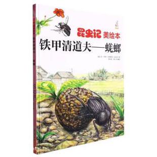 绘本 精装 昆虫记美绘本·铁甲清道夫：蜣螂 9787558572951 社5 北方妇女儿童出版 文