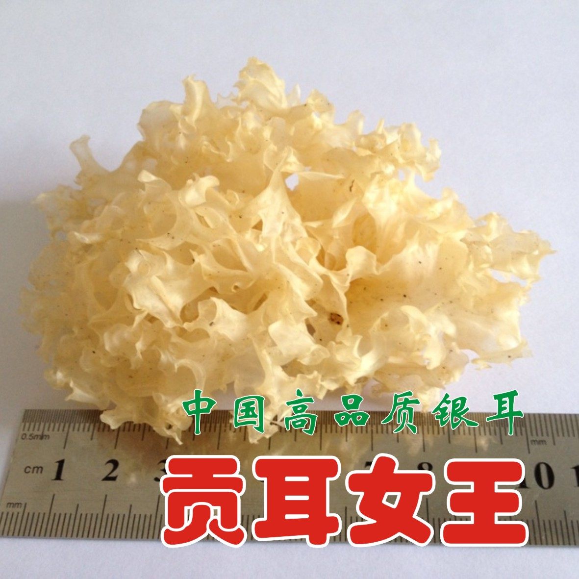四川野生通江银耳干货贡耳女王250g糯特级天然优质椴木白木耳雪耳
