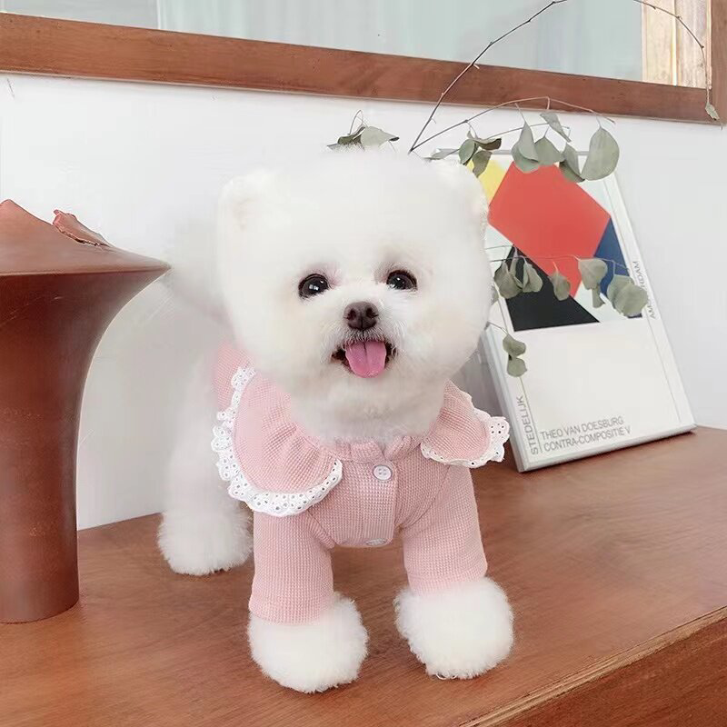 宠物衣服秋冬新款蕾丝花边领暖宝宝泰迪比熊狗狗衣服针织开衫