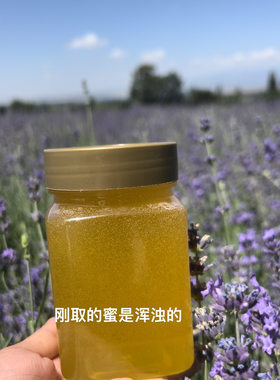 2026年新疆伊犁薰衣草蜜 蜂农小伟