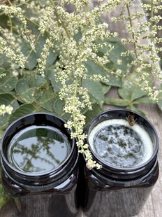 2025年五倍子蜂蜜 蜂场直销 蜂农小伟