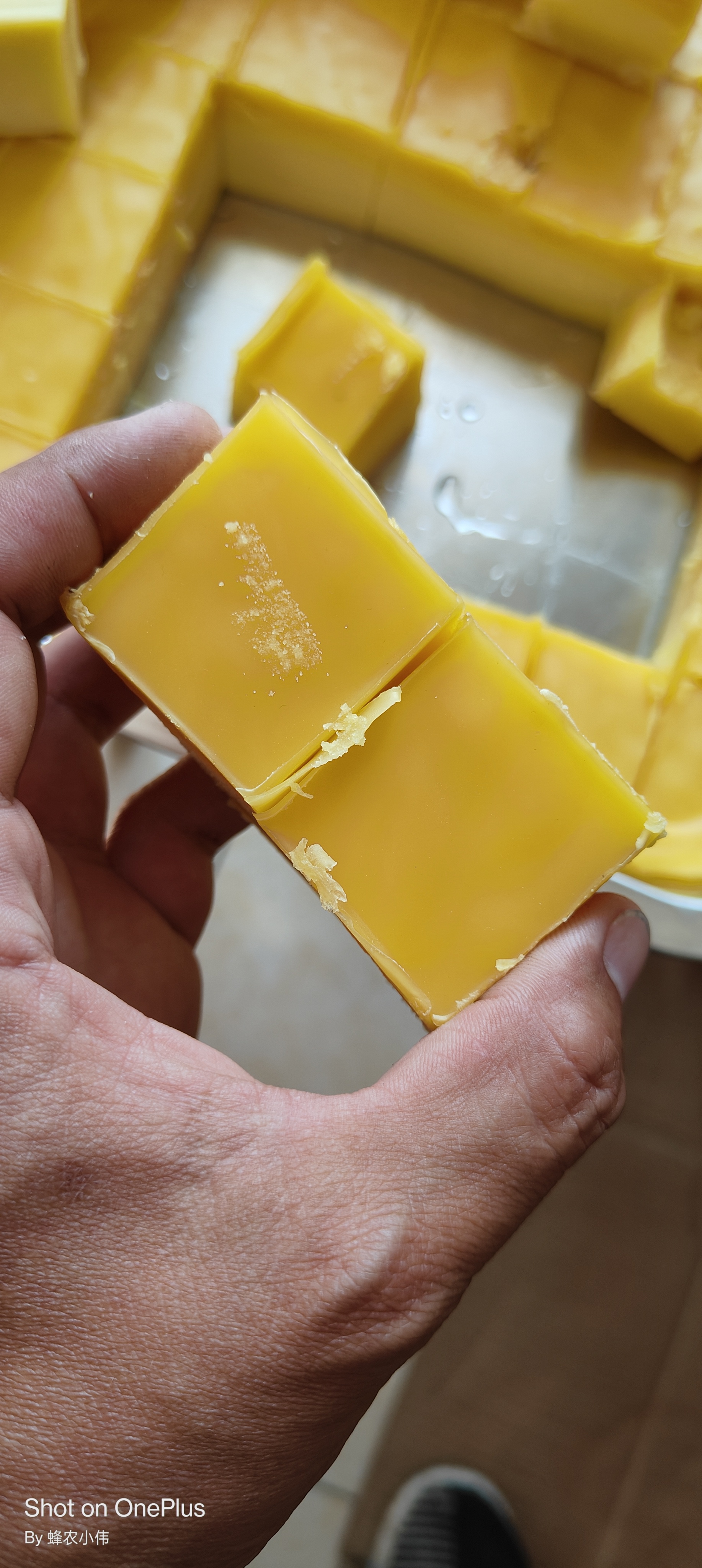 蜂蜡（用来做唇膏，蜡瓶糖）