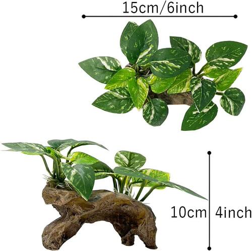 SuMai爬宠箱绿植造景水族箱鱼缸装饰塑料植物仿真水草沉木布叶