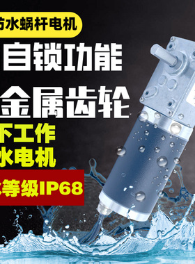 ZFY5840-42防水等级IP68减速电机金属齿轮蜗轮蜗杆防油潜水电机