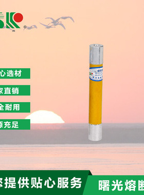 曙光高压防爆用PT型熔断器RN2-10KV/0.5A 1A 1.5A 2A长度165mm