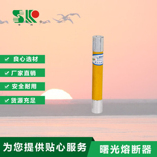 长165mmPT型熔断器RN2 10KV 0.5A 2A曙光高压防爆互感器 1.5A