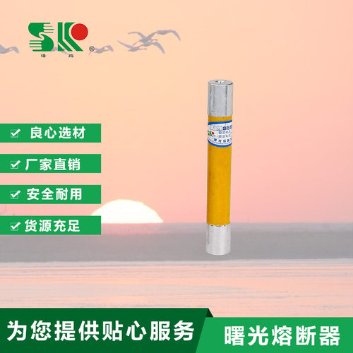 RN2-10KV长度165mm曙光熔断器