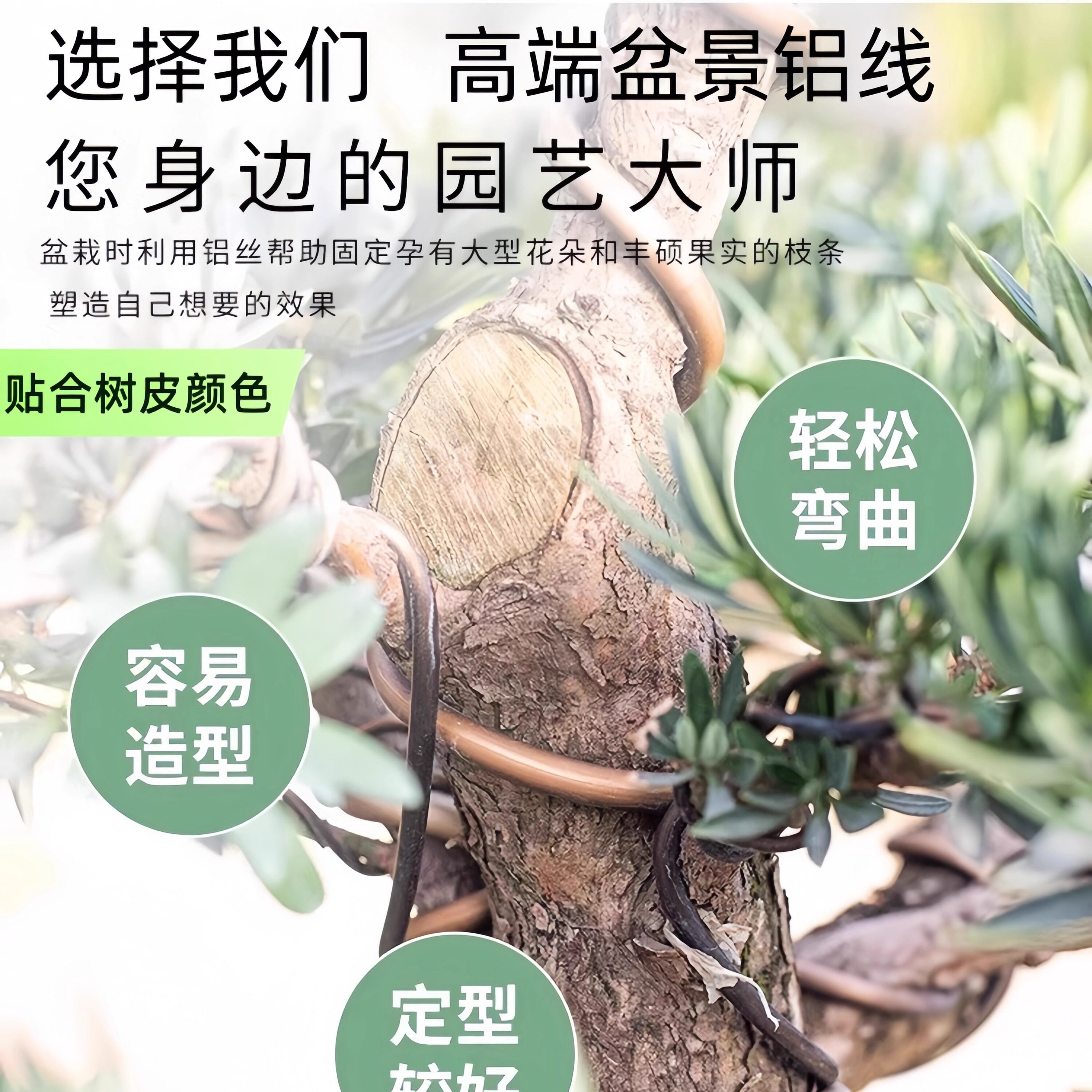 金枝玉叶金弹子树木黑铝线定型园艺软铁线盆景专用软铝丝盆栽铝线图片