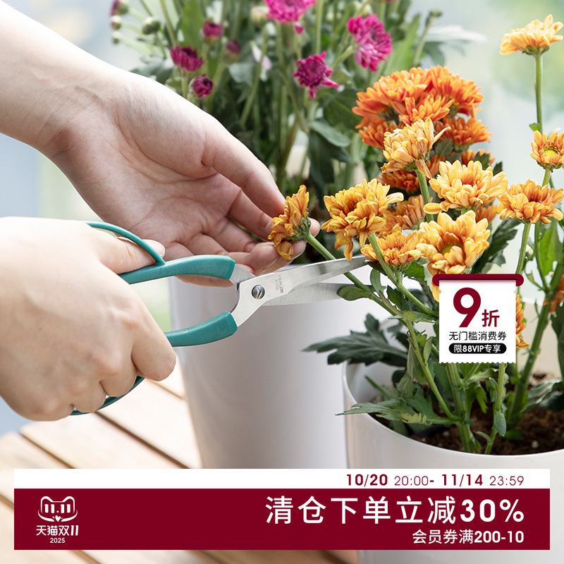 日本ECHO园艺剪刀花剪加长防滑修枝剪家用园林工具树枝花艺剪刀