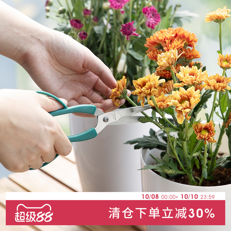 日本ECHO园艺剪刀花剪加长防滑修枝剪家用园林工具树枝花艺剪刀