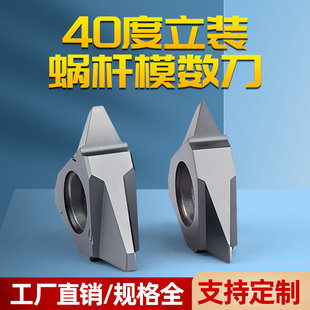 40度蜗杆立装螺纹刀片旋风铣数控内外牙合金刀粒22VERM1.0/1.5/2