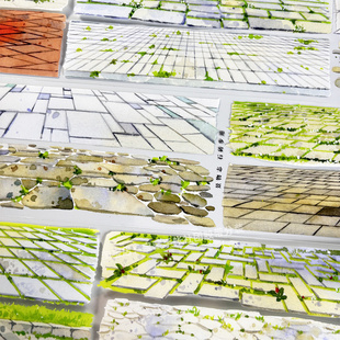 手帐分装胶带a415石砖步道景物志地面古风PET素材账流麻贴纸咕卡