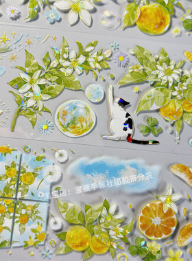 手帐分装胶带a561夏日午后朝夕手帐工作古风PET素材账手机壳贴纸